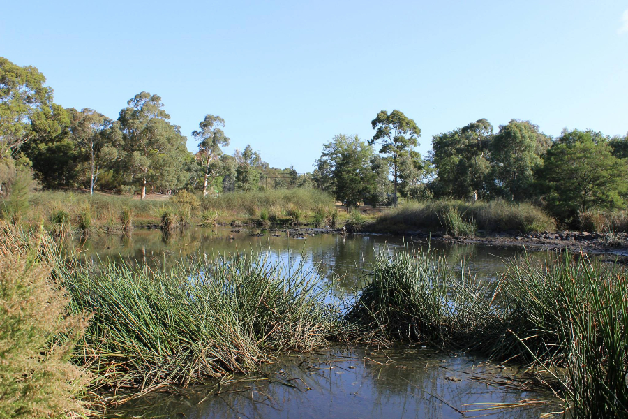 Inaugural Royal Park Festival, Ross Straw Field, Saturday 1st March 2014