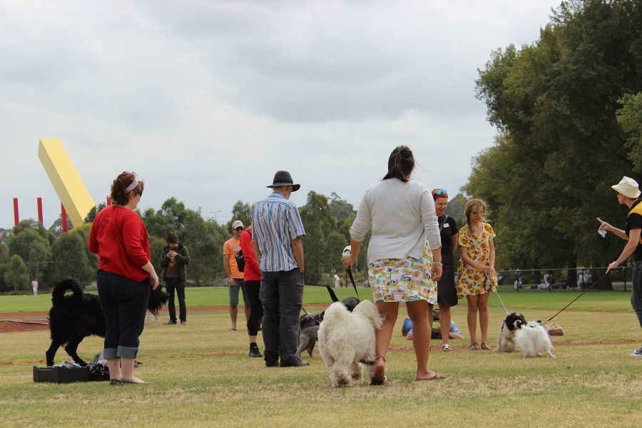 Inaugural Royal Park Festival, Ross Straw Field, Saturday 1st March 2014