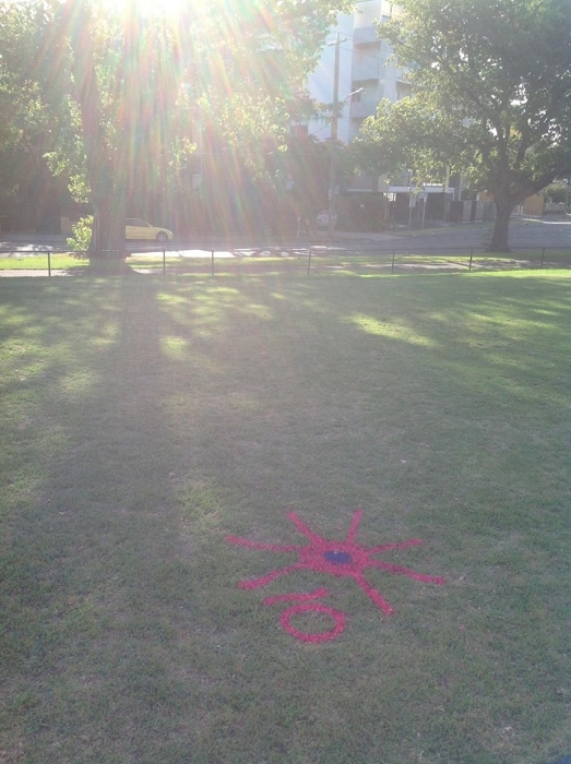 Ross Straw Field Crop Circles - 21 February 2014