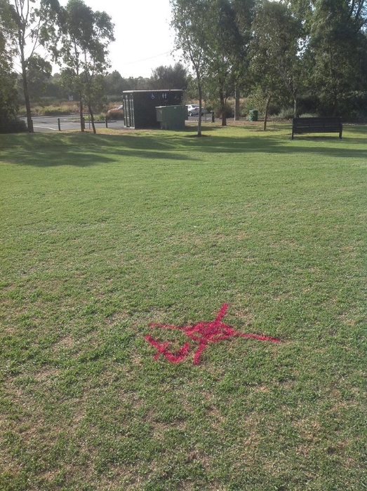 Ross Straw Field Crop Circles - 21 February 2014