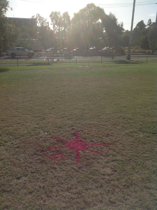 Ross Straw Field Crop Circles - 21 February 2014