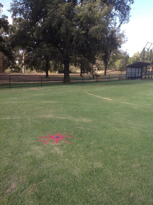 Ross Straw Field Crop Circles - 21 February 2014