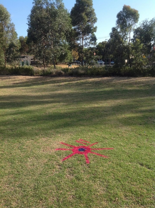 Ross Straw Field Crop Circles - 21 February 2014