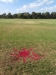 Ross Straw Field Crop Circles - 21 February 2014