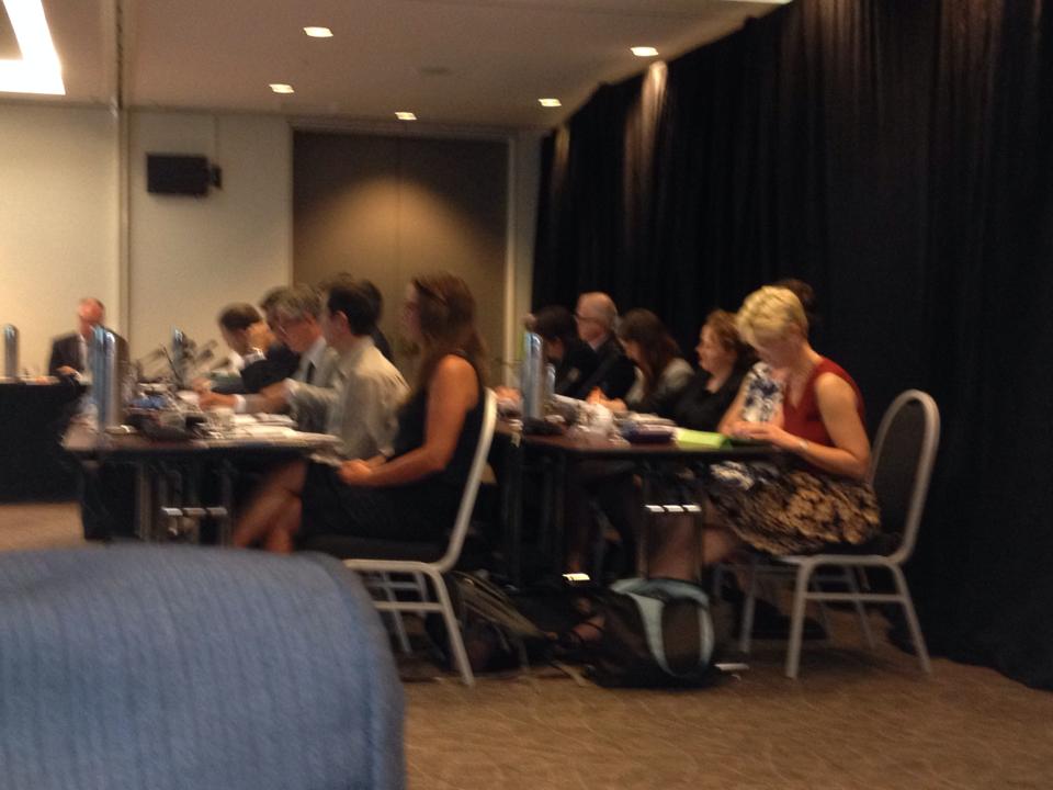 Preliminary hearing EWL CIS Planning Panel_14Jan2014
