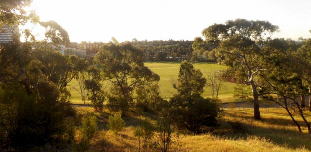 Royal Park and Ross Straw Field, Melbourne